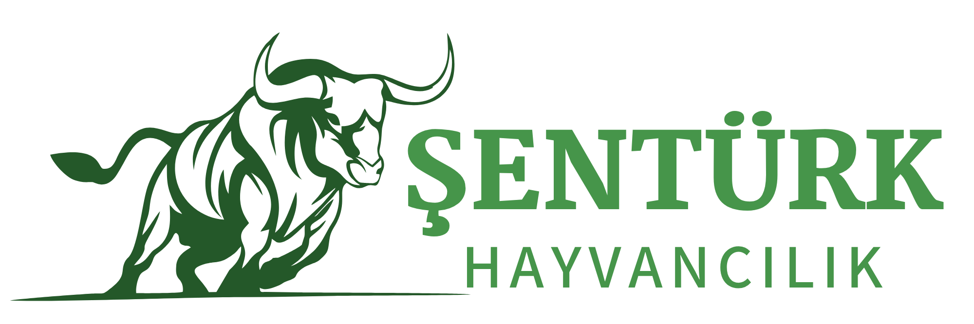 Kars Şentürk Hayvancılık